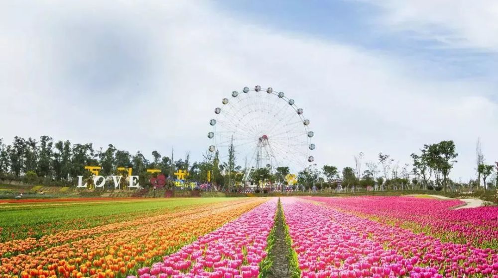 天府沸腾小镇,新都区,漫花庄园,百花谷,火锅