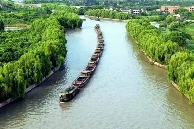 湿地公园,白荡漾,桐乡市,旅游景区,历史文化,京杭大运河