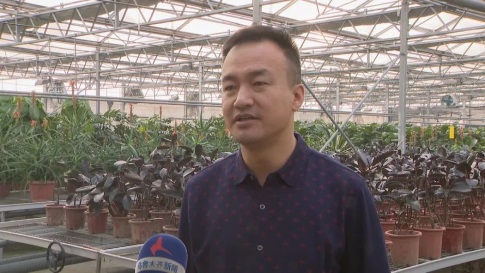 好消息!乌鲁木齐市种苗场荣获全国绿化模范单位