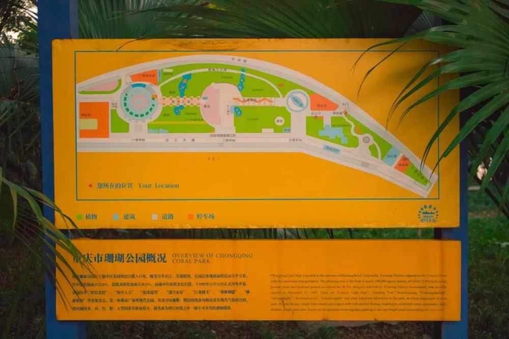 珊瑚公园,重庆,菜园坝,公园