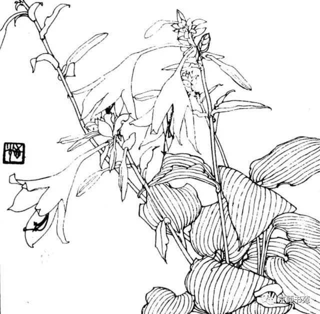 90,玉簪
