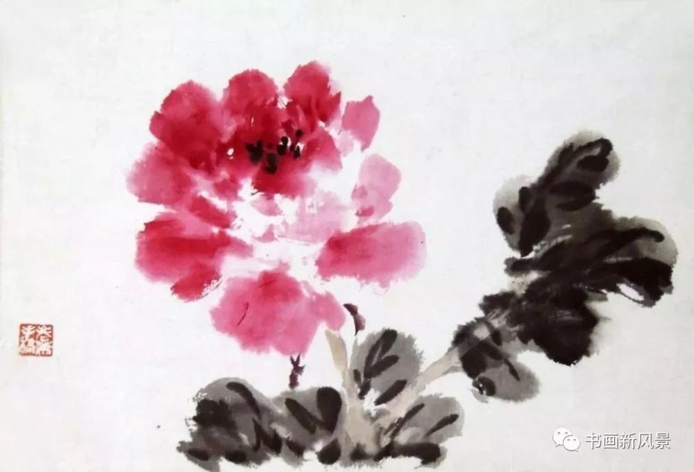 萧朗画牡丹,春色满园!