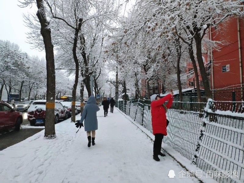 摄影,雪景,北京下雪,2020雪景,2020第一场大雪