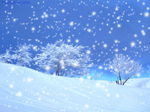 注意!包头公交集团启动雪天应急预案,这几条公交临时绕行