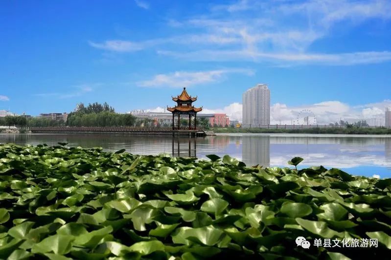 单县新增3处国家a级旅游景区,快来看看在哪!