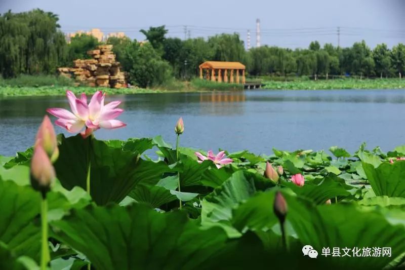 单县新增3处国家a级旅游景区,快来看看在哪!
