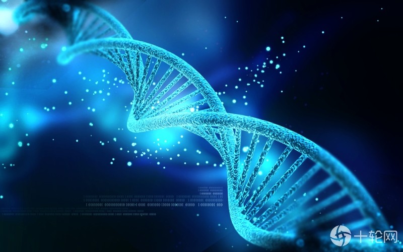 基因编辑,crispr,基因,dna,人体,细胞
