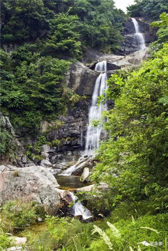 金寨果子园,不可错过的风景!
