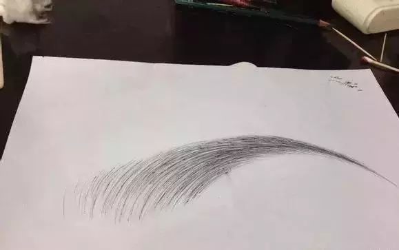 零基础素描入门,素描眉毛的画的画法!