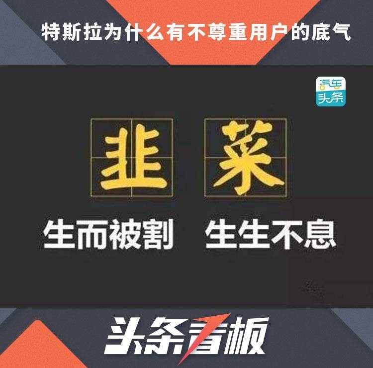而被"误伤"的车主们也并非是任人宰割之后还会碎了牙往肚子咽的"韭菜"