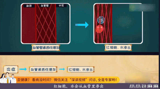 游戏截图 639_356 gif 动态图 动图