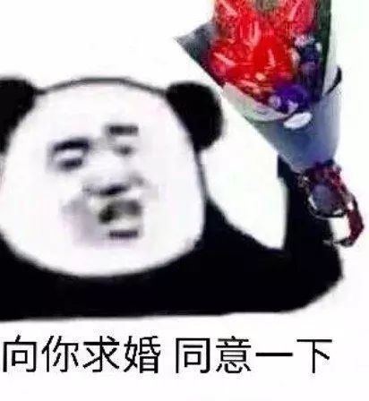 猫头表情包:向你求婚,同意一下