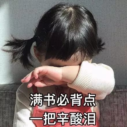 罗熙表情包背书:满书必背点,一把辛酸泪
