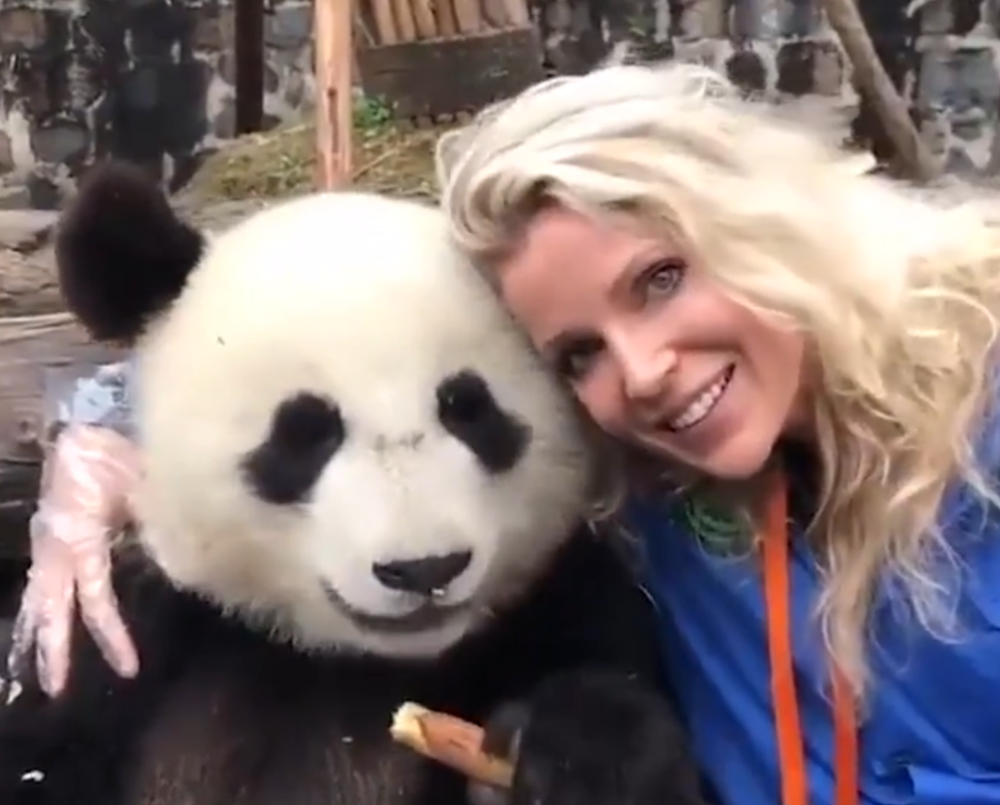 国外小姐姐跟熊猫合影,熊猫:只要有吃的,你随便拍!