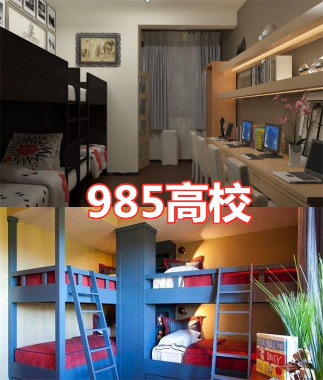 宿舍也分段位?专科vs本科,看到985高校:骂骂咧咧退出群聊