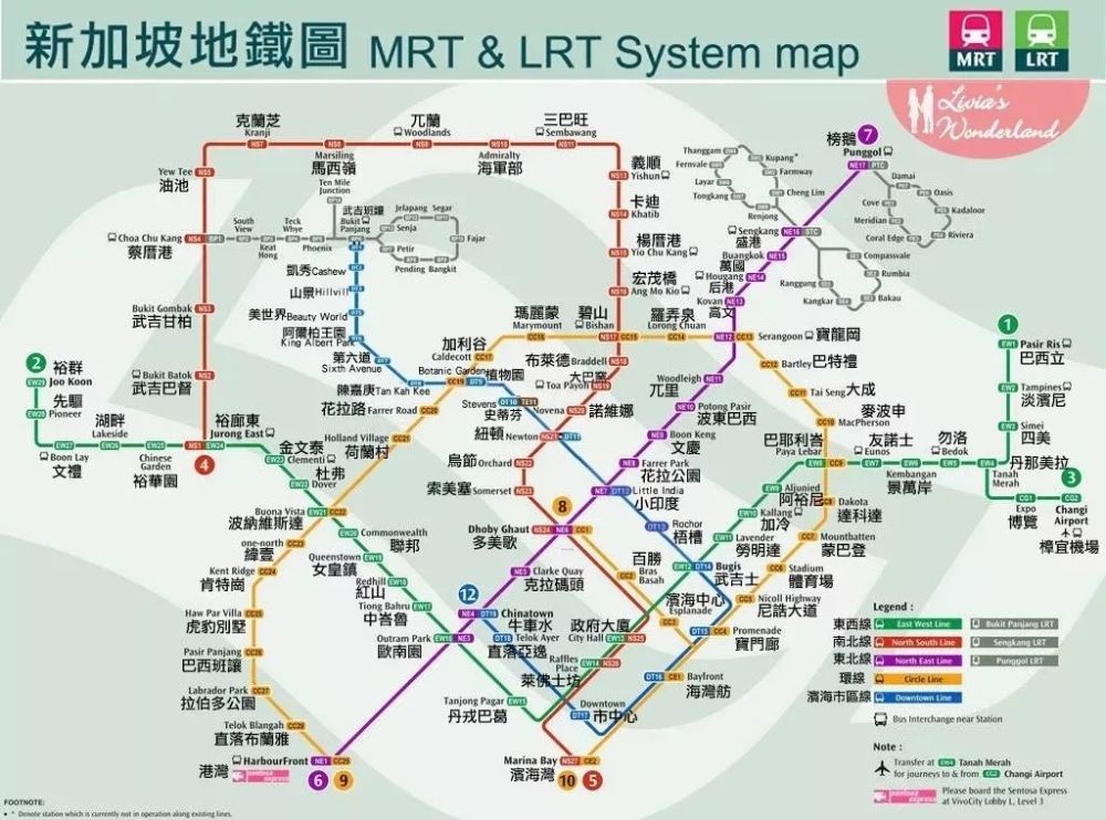 新加坡的公共交通大全!