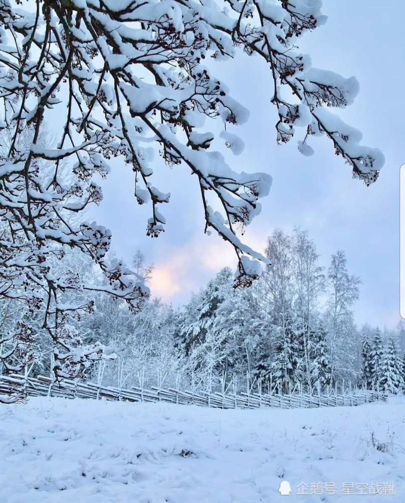 芬兰雪景