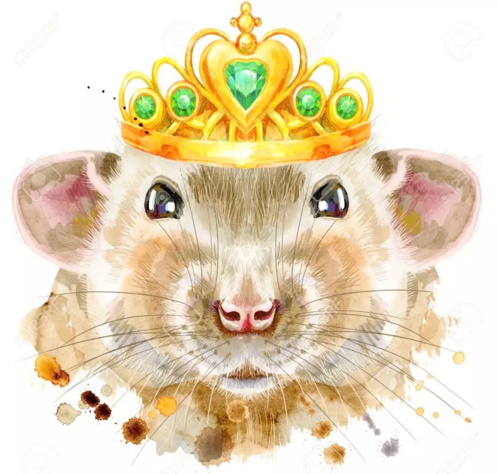 动物图腾:鼠年大吉,鼠的灵性象征