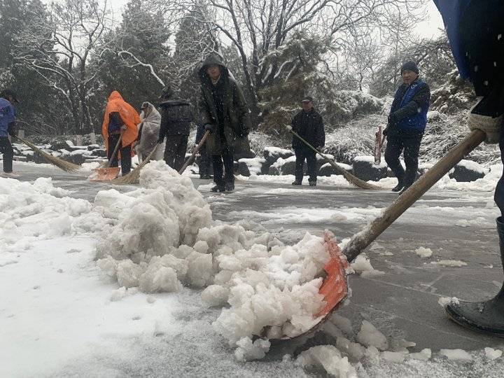 出来扫雪啦!济南动物园工作人员扫雪齐上阵,方便游客出行