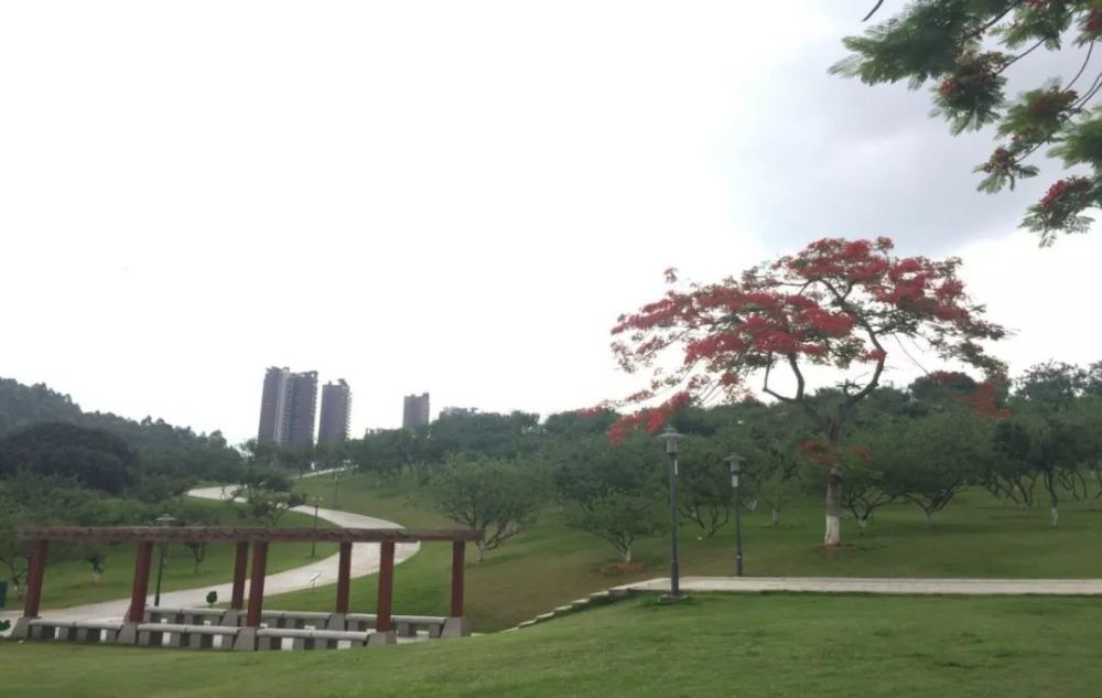 黄埔14个公园被认定为一级公园!快来看看离你家最近的