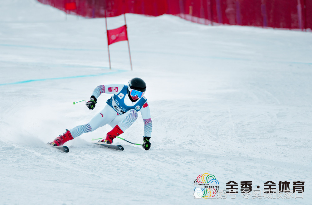 高山滑雪,一带一路,滑雪,中国队,国际雪联,冬奥会