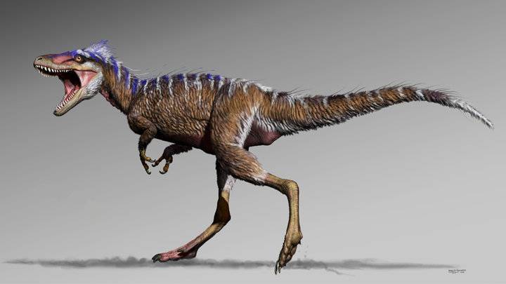 巴加达龙属于梁龙超科下的叉龙科(dicraeosauridae),这是一类