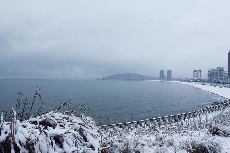 雪落威海,惊艳了整个冬天