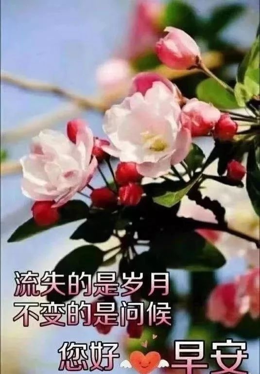 二月二 朋友圈早上好问候语录,早晨好图片问候祝福短信