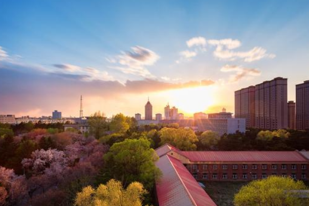 野鸡大学,学历,大学,联合大学,盛京,长春,东北,工程管理,沈阳