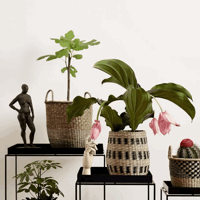 你的办公桌上,也许还需要一盆可爱的绿植