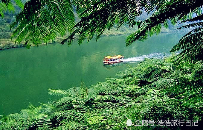 嘉阳桫椤湖景区