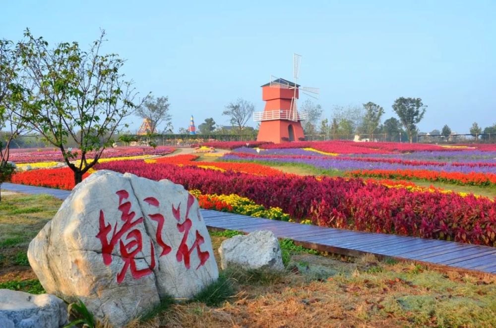 宜昌枝江田园花海风光等你来打卡!