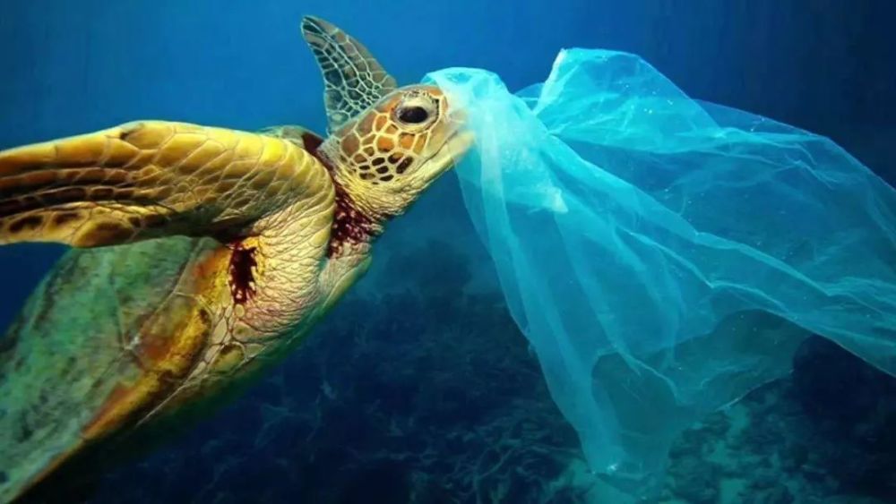99%看不见的海洋塑料在哪里?