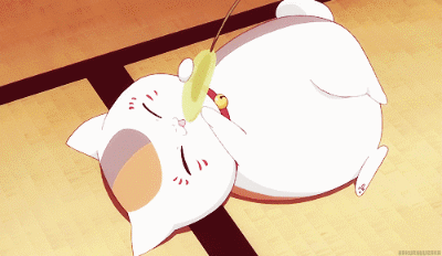 被夏目友人帐的文案治愈了此生无悔入夏目来世愿做帐中妖