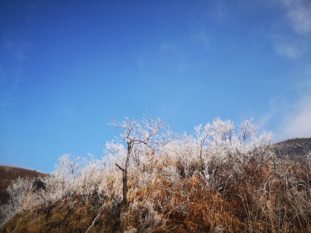 在温暖如春的南方冬天里,即使是些许冬日风景也让人倍感惊喜.