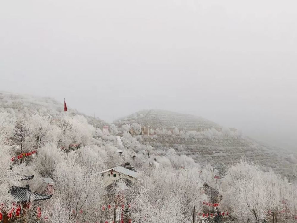 固原雪景大pk,你觉得哪里最美?