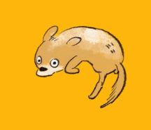 一点开就循环到停不下来