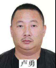 高唐董文涛涉黑恶犯罪团伙已35人到案,还有人在逃