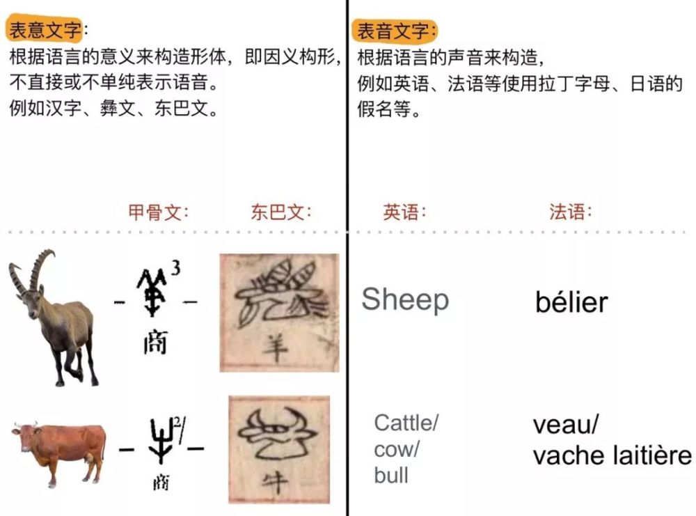 汉字,仓颉造字,义符