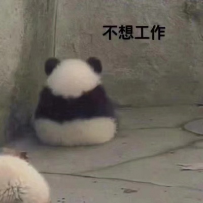 超级可爱的熊猫表情包,萌萌的姿势太搞笑了,请女友殿下签收!