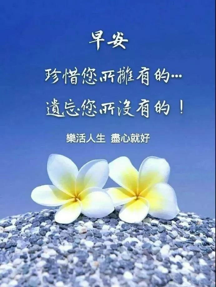 特别漂亮清晨早安表情动态图片,暖心的早上好问候祝福