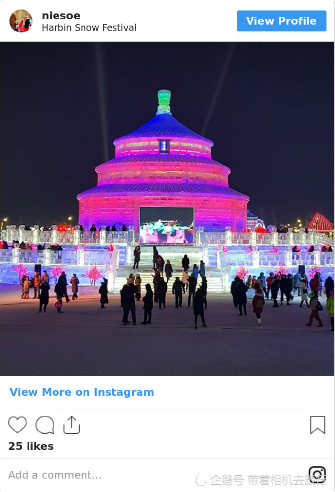 国外网友转发哈尔滨国际冰雪雕塑节的照片.