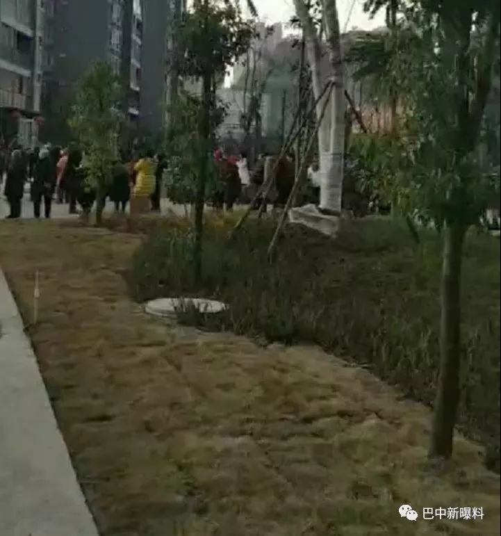 今日,巴中兴文一女孩坠楼身亡