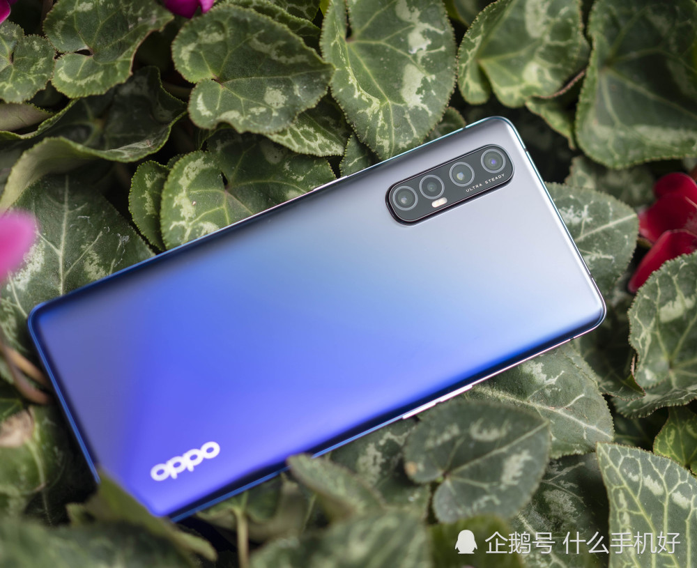 荣耀v30pro和oppo ren3pro都是挖孔屏手机,但这两款手机