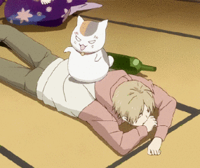 最后献上一只可爱的猫咪老师.