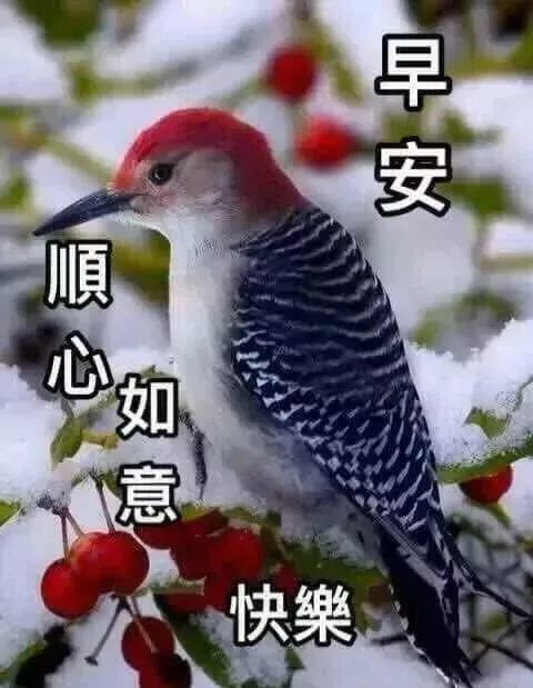 5月3日特漂亮的周末春季下雨天早上好动图表情包 春日
