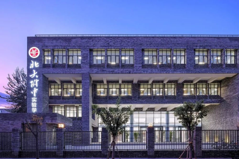 北大附中,杨金鹏,北京大学