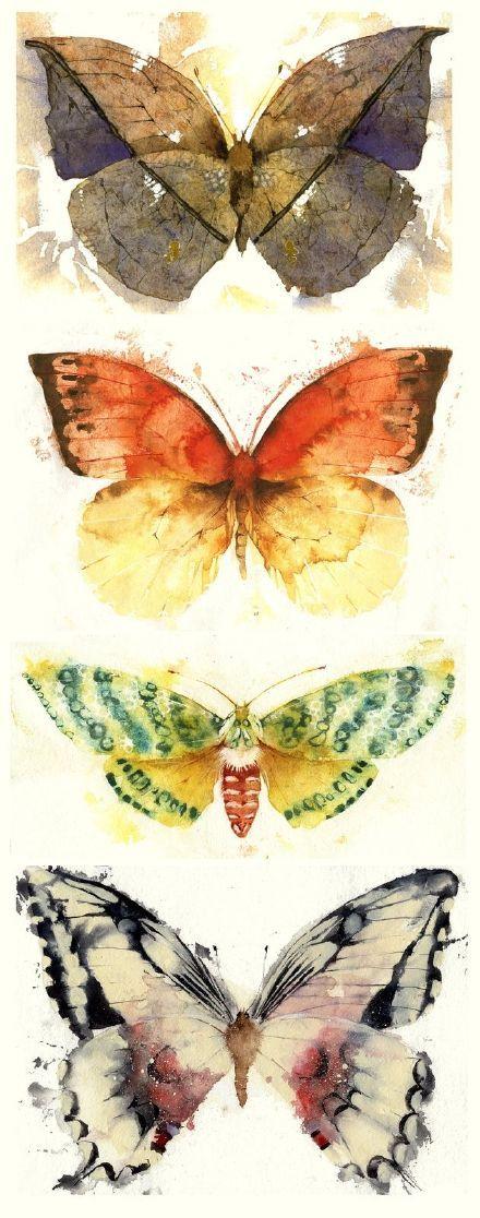 蝴蝶插画,插画师,插画,插画作品,水彩插画