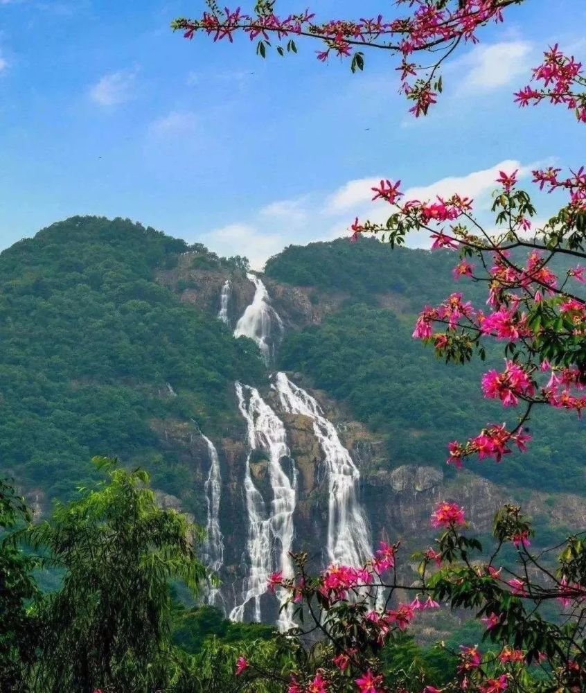 增城区,白水寨风景名胜区,游玩,派潭镇,大埔围村,樱花