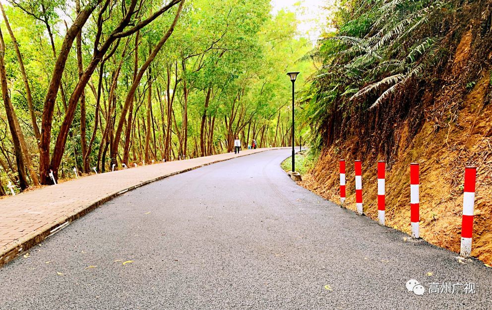 笔架山,高州市,森林公园